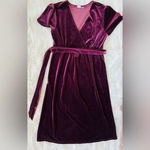 Gap Maternity Fall/Winter Dress